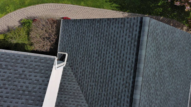 Professional Roofing service in San Carlos, TX